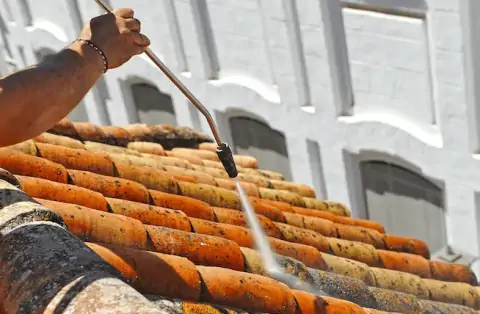 Nettoyage de toitures - Michelbach-le-Bas